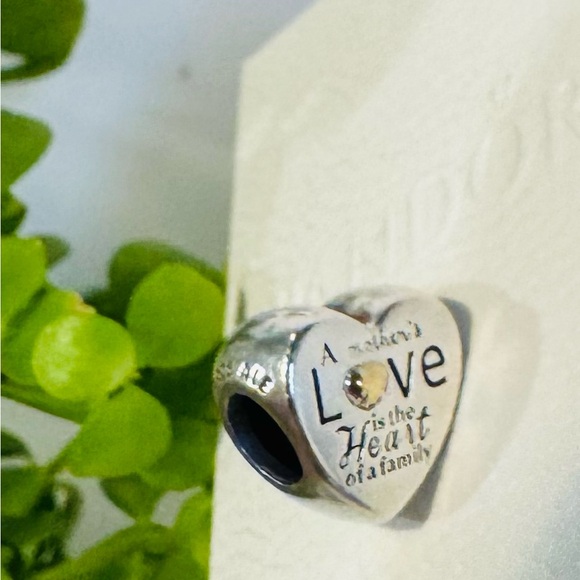 Authentic Retired Pandora ‘Heart of the Family’ Two-Tone Charm - Picture 9 of 11